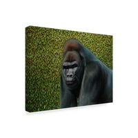 Zaštitni znak likovna umjetnost 'Gorilla s živom' platnu umjetnost Jamesa W. Johnsona