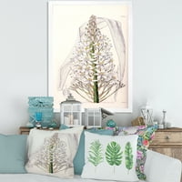 Dizajnerski uzorak bijela Vintage orhideja iz menija, tradicionalni uokvireni umjetnički tisak