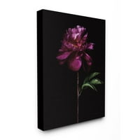 Stupell Industries Cvijet s dugim stabljikom crne ljubičaste prirode Fotografije platno zidni umjetnički dizajn