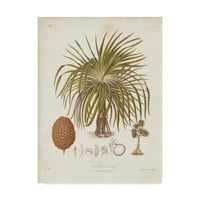 Zaštitni znak likovna umjetnost 'Antikni tropska palma II' Canvas Art by Elizabeth Twining
